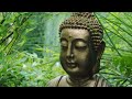 Cómo practicar el Budismo