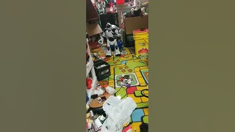 January 20, 2020 Robosapien v2