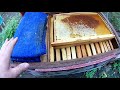 Хранения пчелиной суши в ульях  Пчеловодство 2020