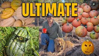 How to Plant Pumpkins  4 Zero Dig Methods Featuring Winston!