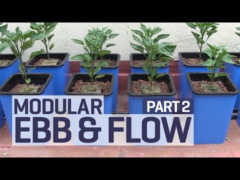 How to set up an Ebb and Flow / Flood and Drain Hydroponics Growing System - PART 2 of 6