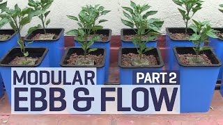 How to set up an Ebb and Flow / Flood and Drain Hydroponics Growing System - PART 2 of 6