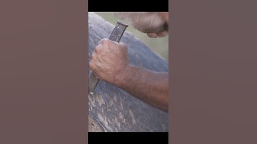 Read Ancient Egyptian TEXTS! (Hieroglyphics Decoded in 1 Minute!)