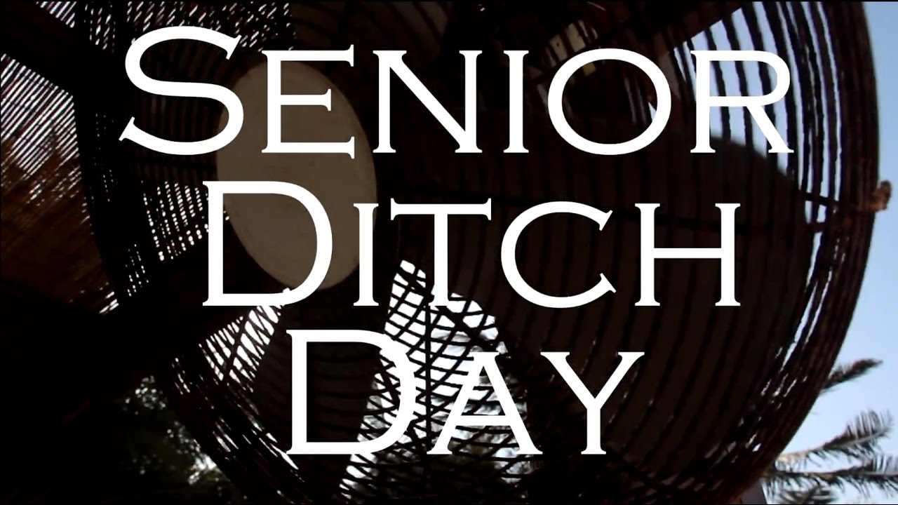 DVBBS Never Leave Senior Ditch Day YouTube
