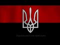 "Йшли селом Партизани" - Українська повстанська пісня | Ukrainian insurgent song