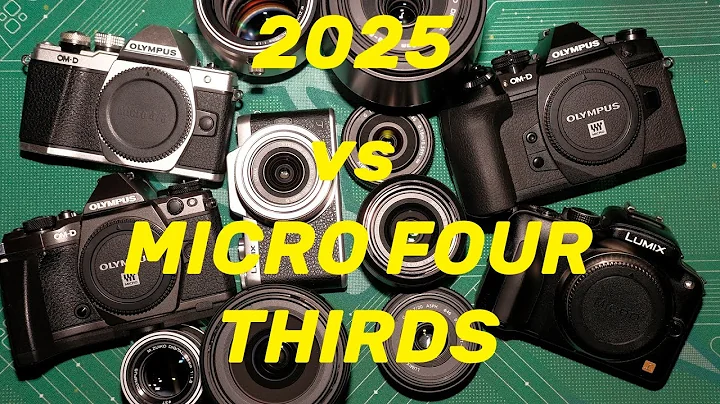 Micro Four Thirds vs 2025