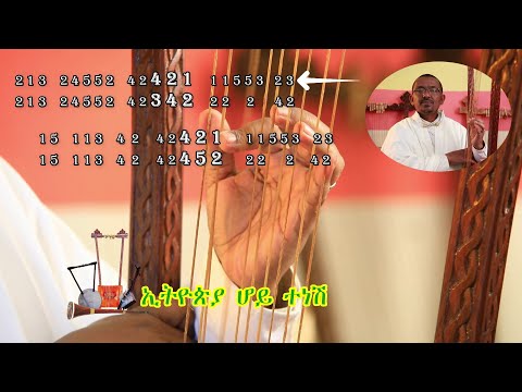 ቪዲዮ: በገና ዛፍ ላይ የታሸገ ኳስ-ማስተር ክፍል