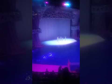 Выход артистов. Финал.