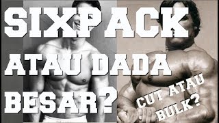 Ingin Sixpack atau Otot Dada? CUTTING atau BULKING dulu? By Brodibalo
