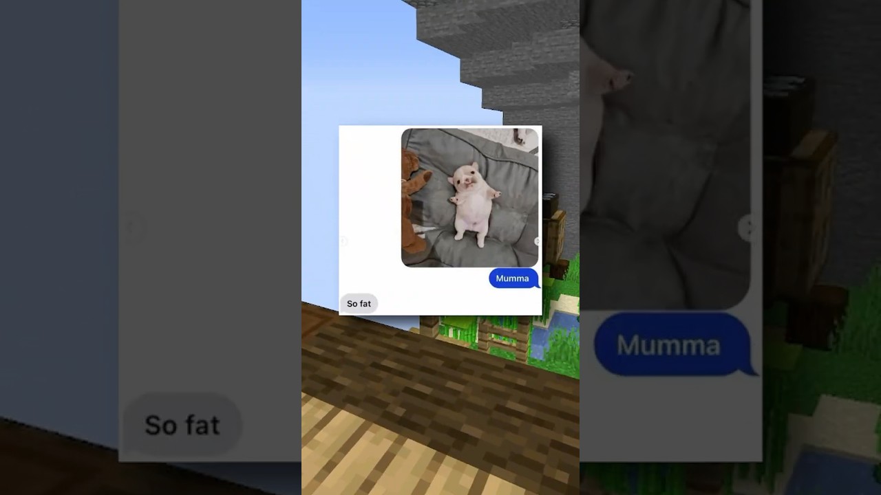 Очень смешные мемы про собак 🐶