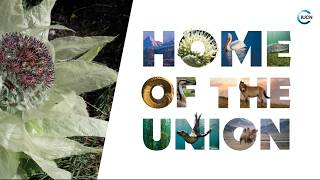 IUCN Pavilion UNCCD COP17 - 19 August livestream