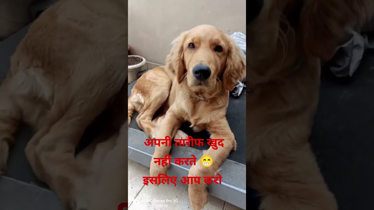 koi comments main bolega tb manuga 