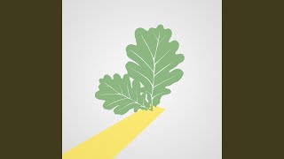 Saulgrie​ž​u piegrieztnes / Solstice cuts - part 2 (Live)