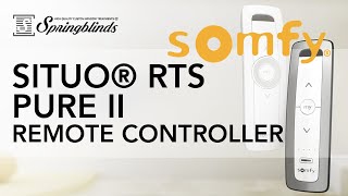 SPRINGBLINDS: SOMFY Situo RTS Pure II Remote Controller