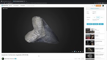 Digital Atlas Virtual Collection: Accessing Models in Sketchfab