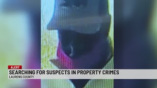 Doorbell video shows 'person of interest' in Laurens Co. property crimes
