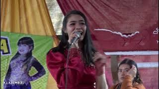 Los Dol - Nia R | Devita Nada