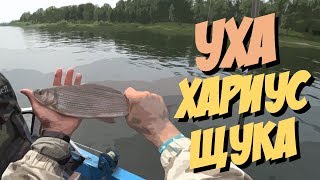 Как ловить щуку / Рецепт ухи / Рыбалка на хариуса Как ловить щуку / Рецепт ухи / Рыбалка на хариуса