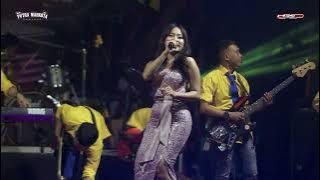 Jangan Bertengkar Lagi - Violeta || New Putra Mahkota || Citra Pro Audio