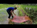 Bangladeshi village life vlog ep 1 || smell of village