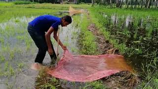 Bangladeshi village life vlog ep 1 || নতুন জলে  ছোট মাছ ধরা ।| Our simple village life & cooking