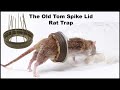 The Old Tom Spike Lid Rat Trap Fail. Mousetrap Monday