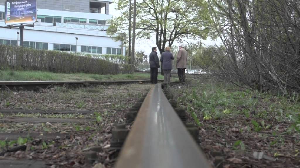 Mój Poznań, moja Wielkopolska - W Poznaniu na Głównej