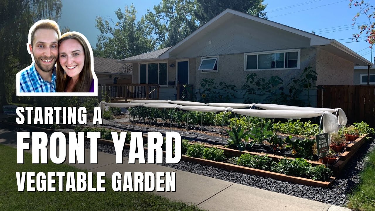 Member Spotlight: Starting a Front Yard Vegetable Garden - YouTube
