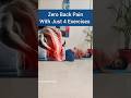 Zero Back Pain with just 4 Exercises #backpain #backpainrelief #fitness
