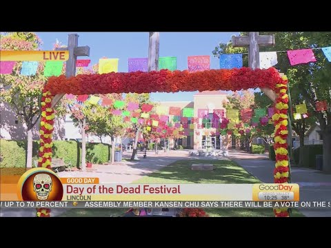 Vidéo: Ces 5 Villes Américaines Organisent D'incroyables Festivals Day Of The Dead