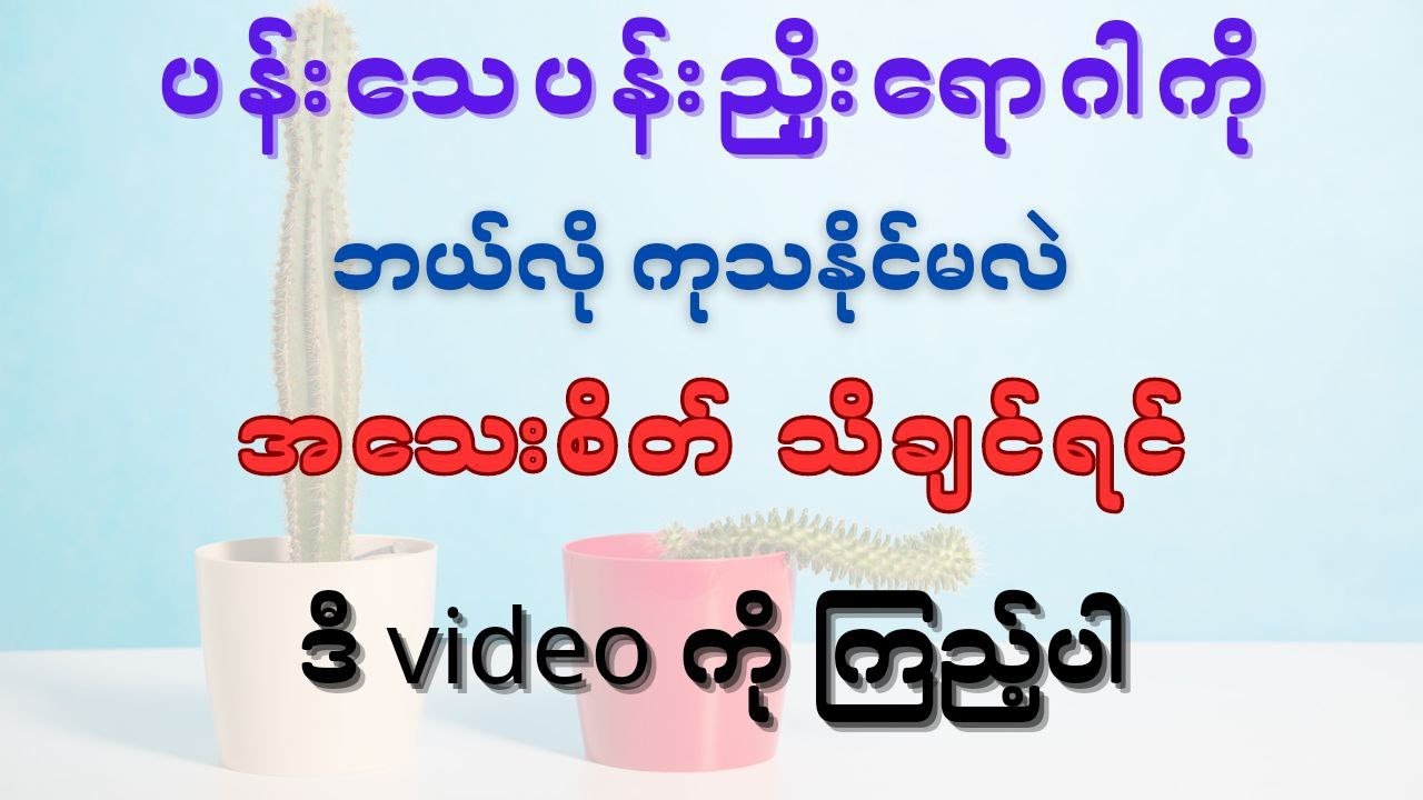 ပန်းသေပန်းညှိုးရောဂါကို ကုသနိုင်သော နည်းလမ်းများ - Erectile dysfunction treatment
