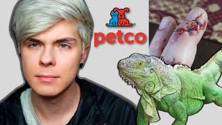 Why Chain Pet Stores Should STOP Selling Iguanas!