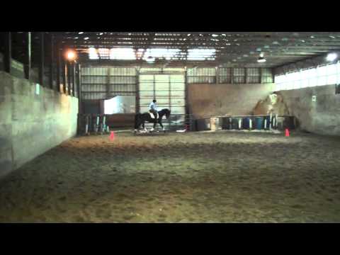 A short video of Cindy & Delight's lesson with Sarah Duclos 12 31 10.mp4