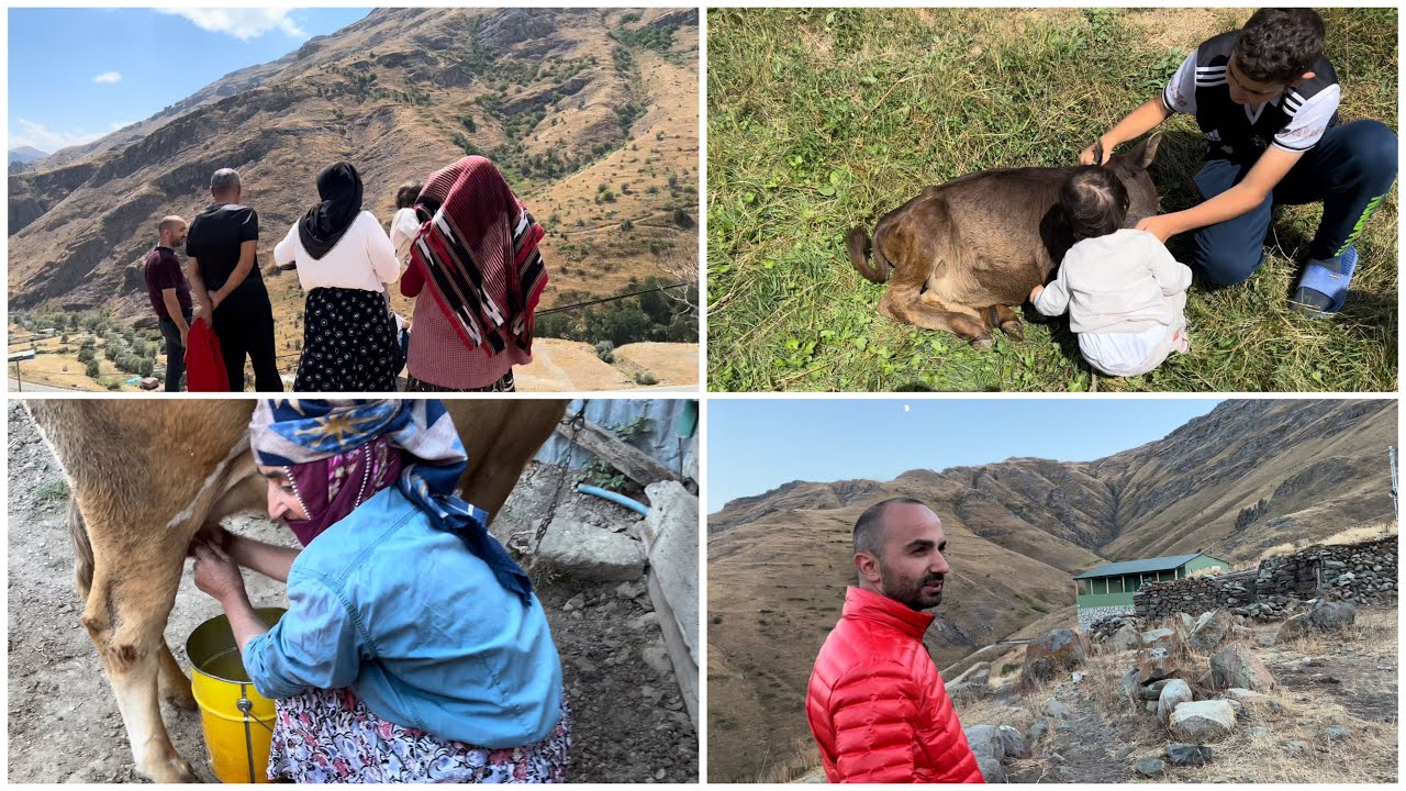 ÇAPANS KÖYÜNÜ GEZİYORUZ | YAYLAYA ÇIKTIK | ESKİ TAŞ EVLER | İLK KEZ TANDIR GÖRDÜM |