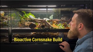 Building a Bioactive Cornsnake Vivarium