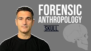 Forensic Anthropology | Skull | 3D Forensics | Click 3D Ep38