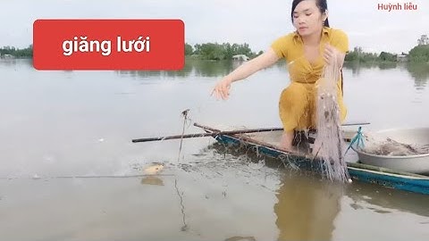 21/Giăng lưới mùa nước nổi dính bầy cá rô đồng ngon quá 