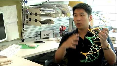 DNA and nanotechnology (Hao Yan)