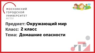 2 класс. Окружающий мир. Домашние опасности.