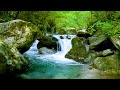 Capture de la vidéo Mountain Stream Flowing 24/7. Forest Stream. Flowing Water. White Noise, Nature Sounds For Sleeping.