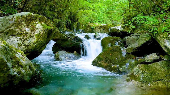 Mountain Stream Flowing 24/7. Forest Stream. Flowing Water. White Noise, Nature Sounds for Sleeping.