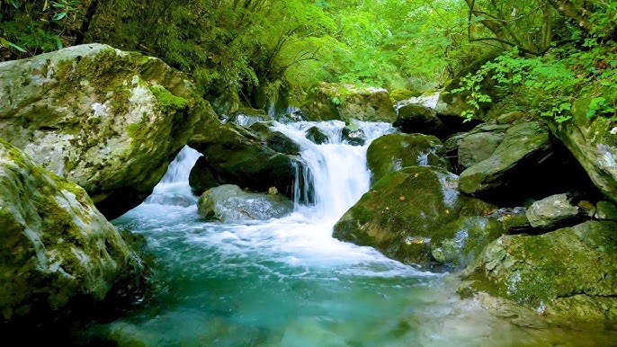 Forest River Flowing Sound in Green Nature. Flowing River, Water Sounds.  White Noise for Sleeping. 