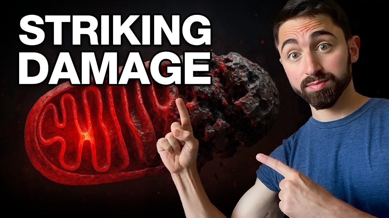 Я попробовал статины — вот что произошло | Доктор Ник Норвиц, доктор медицинских наук