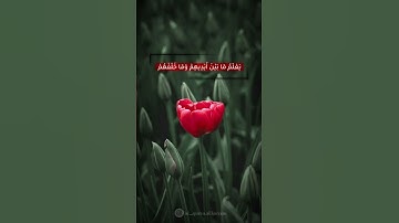 اللّهُ لاَ إِلَهَ إِلاَّ هُوَ الْحَيُّ الْقَيُّومُ آية الكرسي-سورة البقرة بصوت القارئ اسلام صبحي