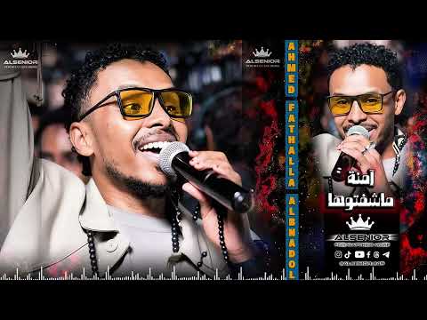 احمد فتح الله البندول آمنه حفل الديوان جديد 2025 9