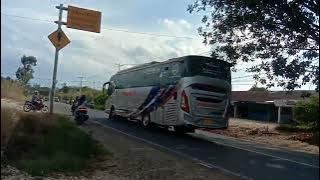 SUARA TELOLET ULAR🐍 BUS SUMBAR