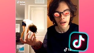 I PROMISE This Is The Last Tik Tok Compilation I Watch Before Going To Sleep