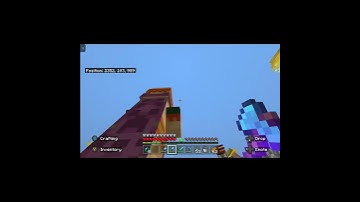 When your friend accidently leaves this in his shulker box #shorts