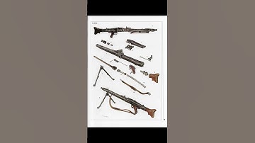 anything for this guns nerf #mg42 #codm , public documents..... definitely not military classified