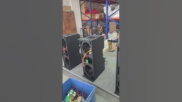 2*10"line array speaker  audioarray  #linearray #audio
